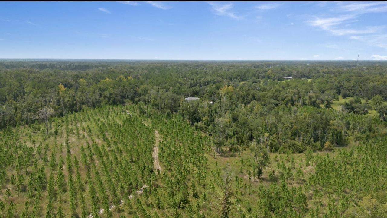 8610 S Us Highway 19, Perry, FL 32348 Photo