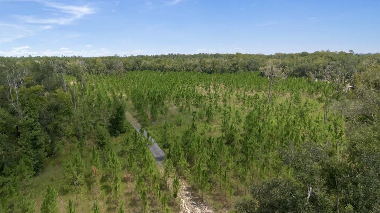8610 S Us Highway 19, Perry, FL 32348 Photo