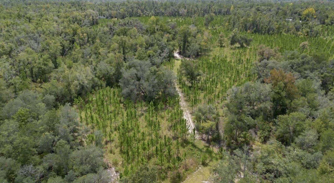 8610 S Us Highway 19, Perry, FL 32348 Photo