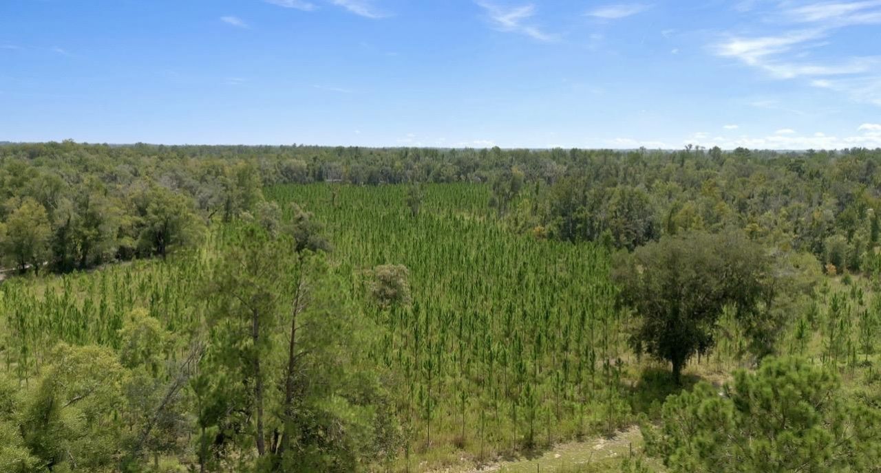 8610 S Us Highway 19, Perry, FL 32348 Photo