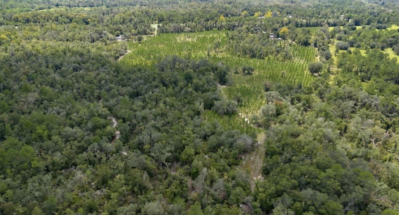 8610 S Us Highway 19, Perry, FL 32348 Photo