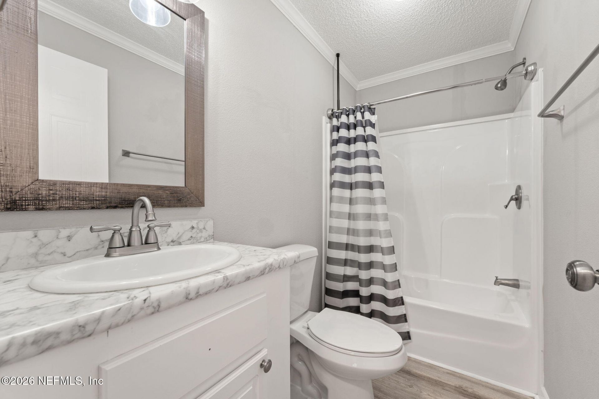 2405 Silver Moss Circle, Middleburg, FL 32068 Photo