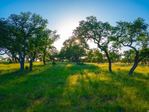 TBD Wine Trail Dr, Johnson City, TX 78636