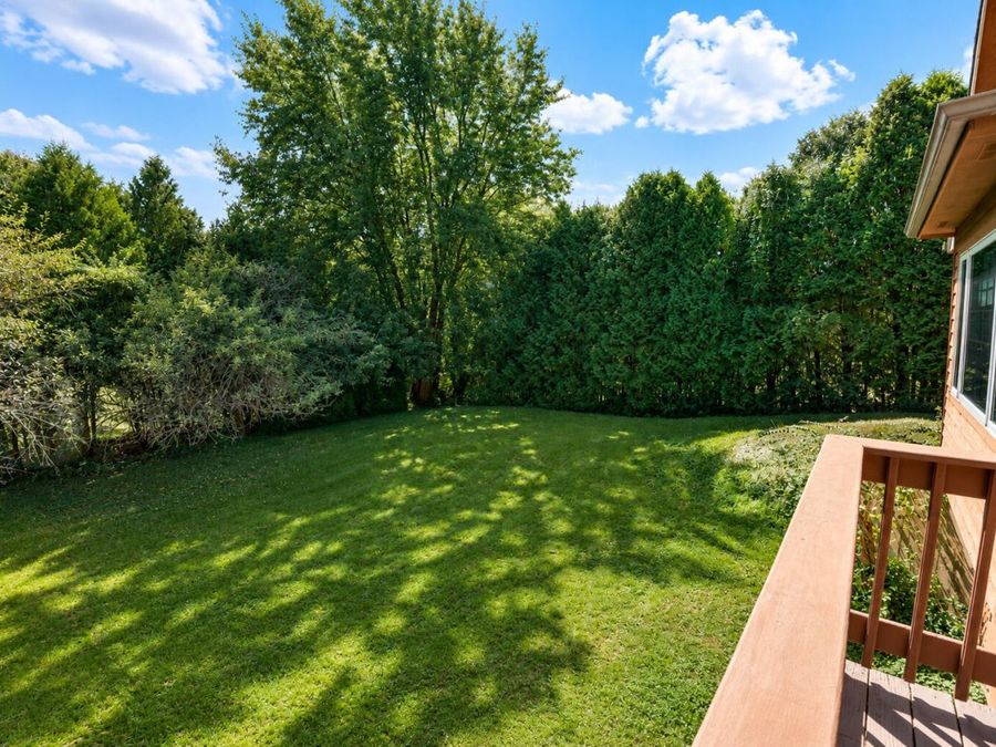 Property Image 49
