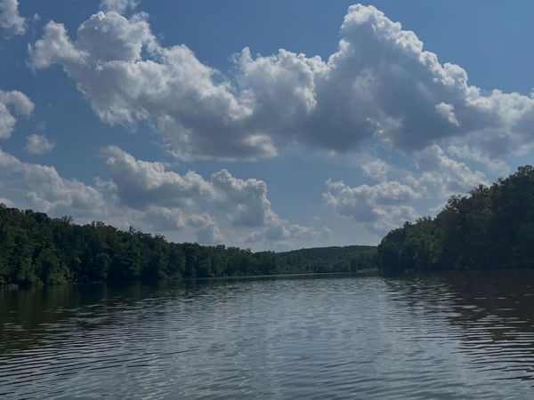 TBD BURTON LAKE RD, CHATHAM, VA 24531