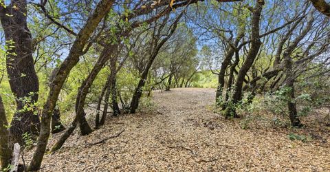 Silver Lode Dr, Placerville, CA 95667 Photo