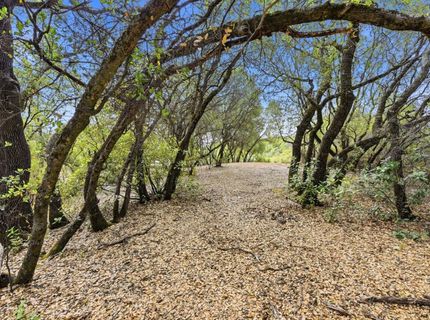 Silver Lode Dr, Placerville, CA 95667 Photo
