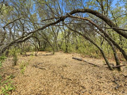 Silver Lode Dr, Placerville, CA 95667 Photo