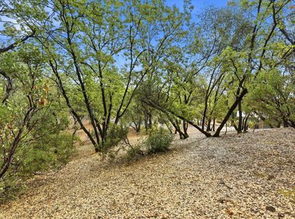 Silver Lode Dr, Placerville, CA 95667 Photo