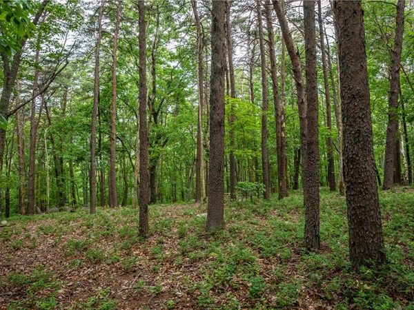 206R Mystic Trail Lane , Jasper, GA 30143
