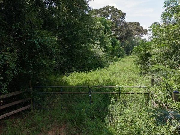 15 Acres Wade Rd, Jay, FL 32565