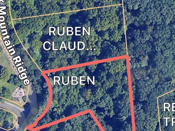 99999 Elk Mountain Ridge , Asheville, NC 28804