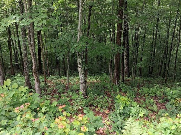 TBD Preservation Trail , Sylva, NC 28779