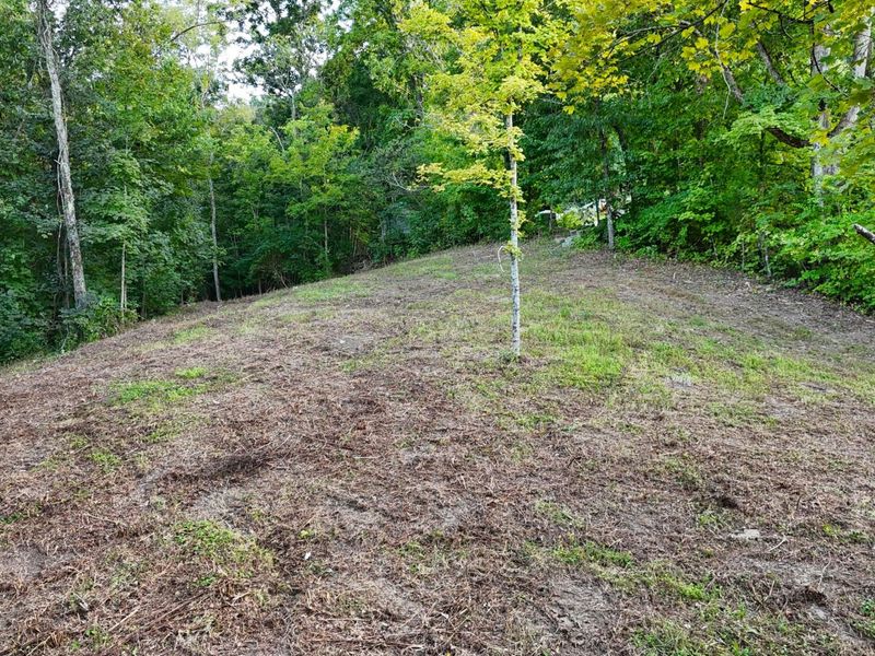 12252 Ryle Road, Union, KY 41091 Photo 22
