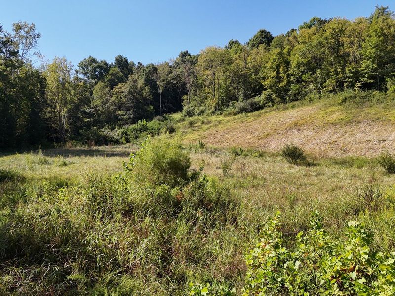 12252 Ryle Road, Union, KY 41091 Photo 5