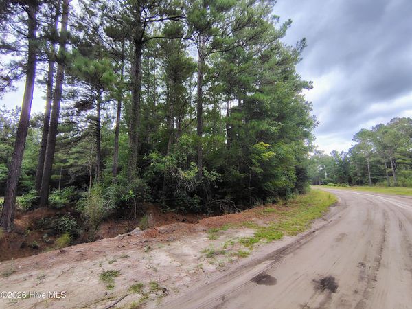 Lot 45 Near 519 Deer Lane , Tabor City, NC 28463