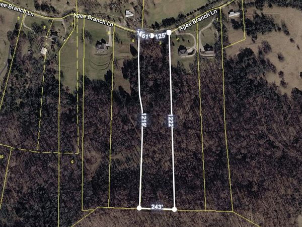 115 Agee Branch Ln, Hickman, TN 38567