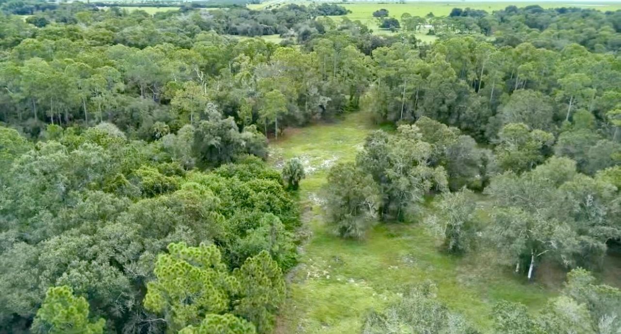 7061 Flaghole Road, Flaghole, FL 33440 Photo