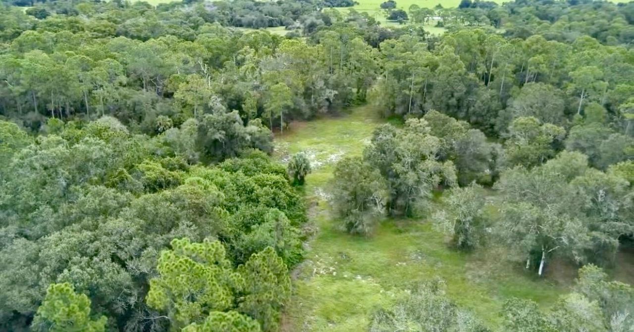 7061 Flaghole Road, Flaghole, FL 33440 Photo