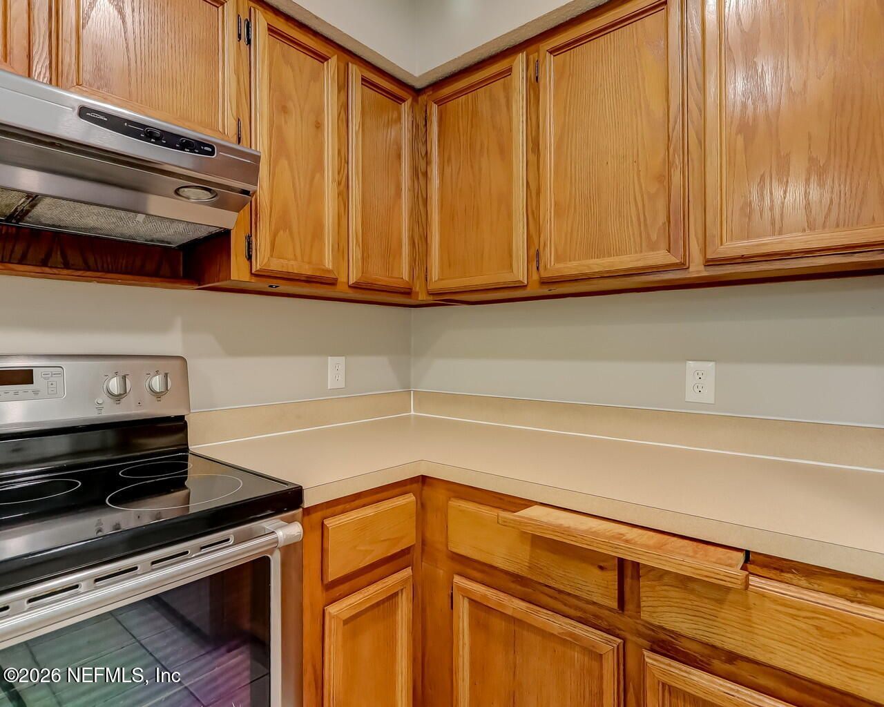 2445 Zagato Court, Middleburg, FL 32068 Photo