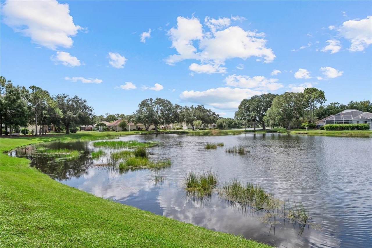 11326 Blue Sage Place , Lakewood Ranch, FL 34202 Photo