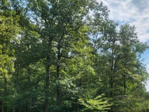 9740 HICKORY LANE , LA PLATA, MD 20646