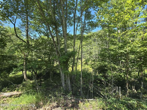 2nd Street, Harveys Lake, PA 18618