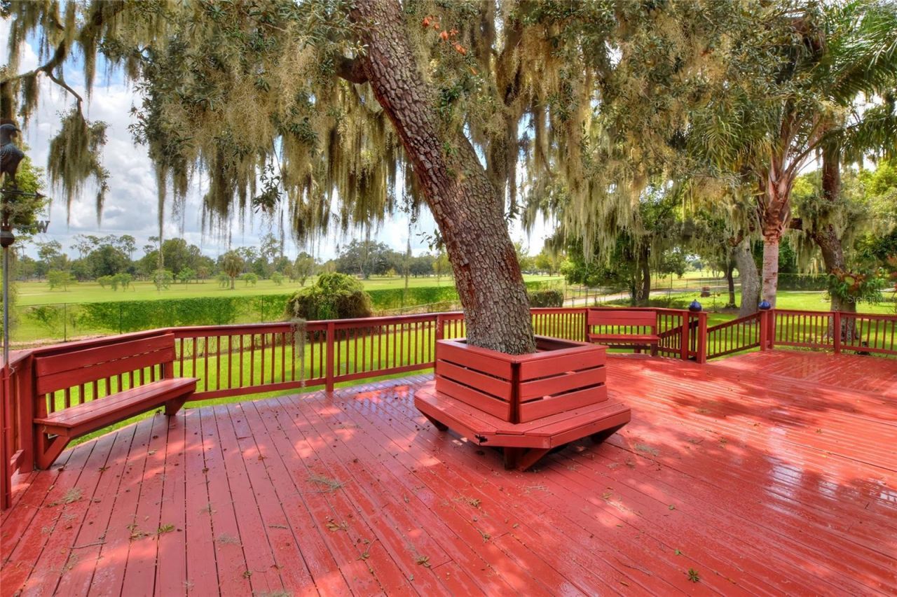 1221 E Edgewood Dr Drive , Lakeland, FL 33803 Photo