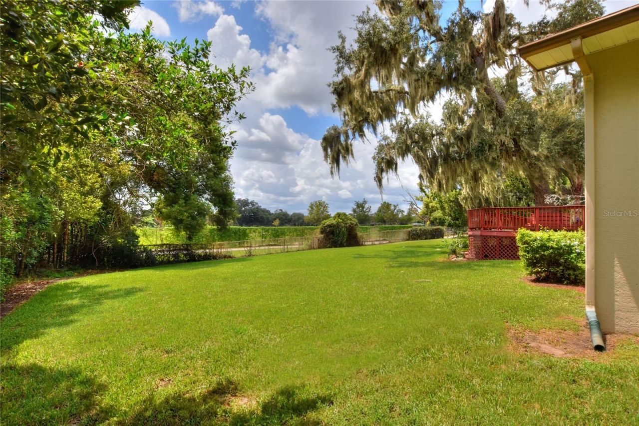 1221 E Edgewood Dr Drive , Lakeland, FL 33803 Photo