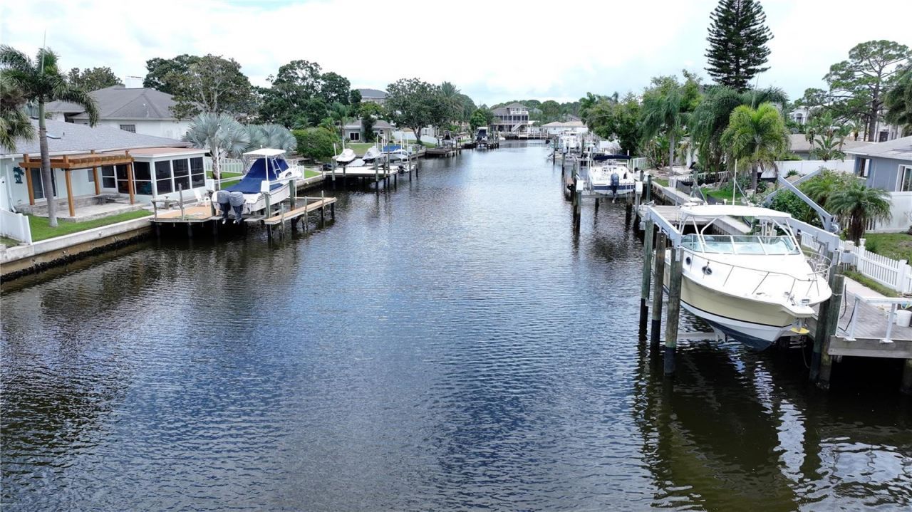 303 Morningside Drive, Palm Harbor, FL 34683 Photo