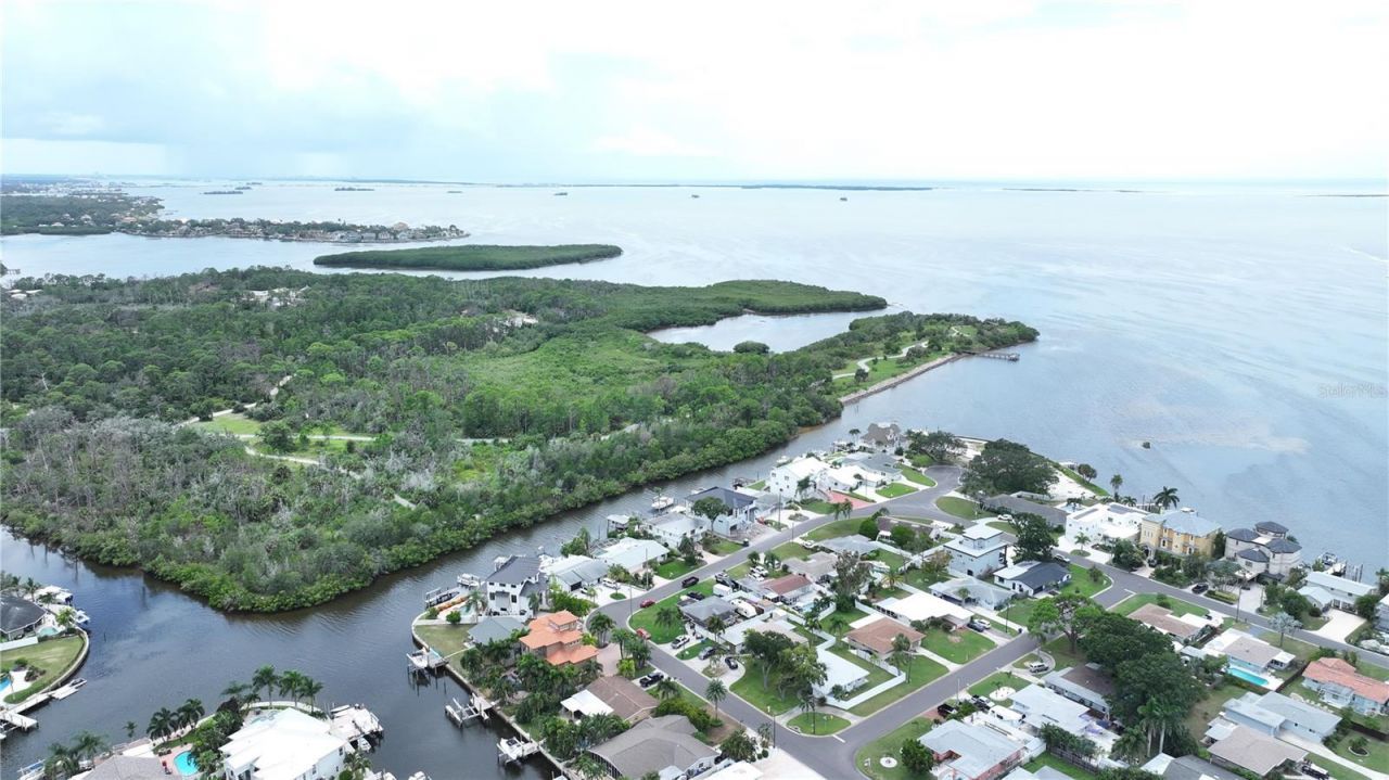 303 Morningside Drive, Palm Harbor, FL 34683 Photo