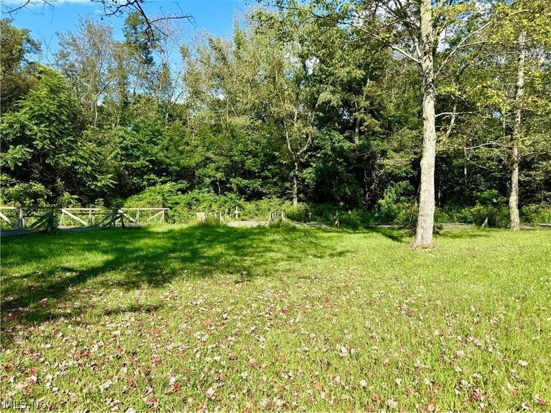 79601 Adams Road, Freeport, OH 43973 Photo 36