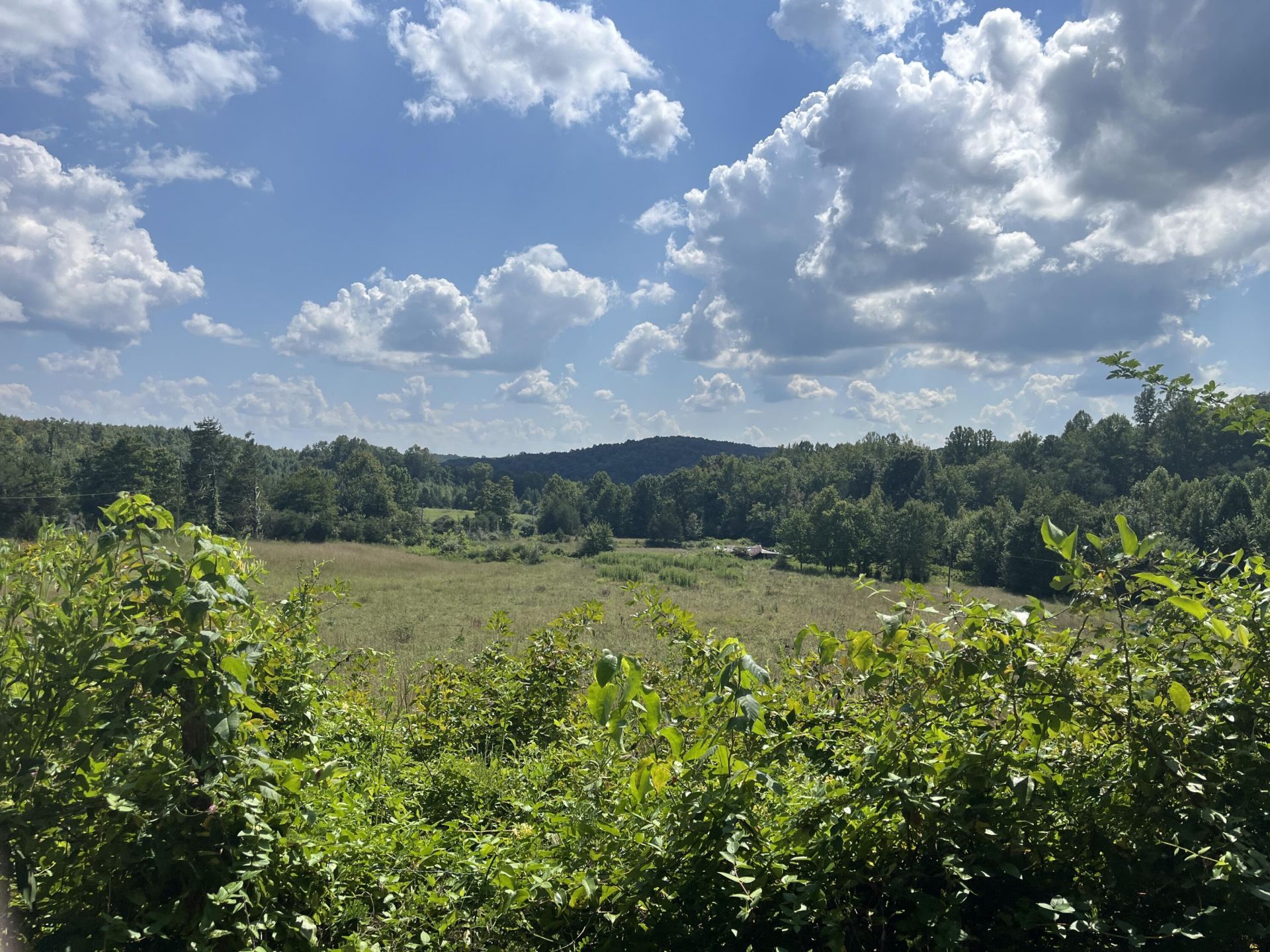 18 Acres E Arthur Adkins Road, Somerset, KY 42501 Main Photo