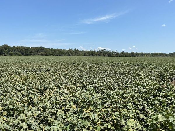 Greenwood, MS 38930