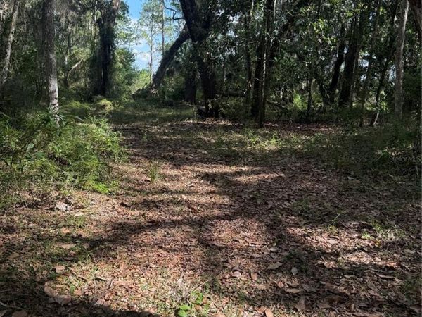 5612 E HIGHWAY 316 , CITRA, FL 32113