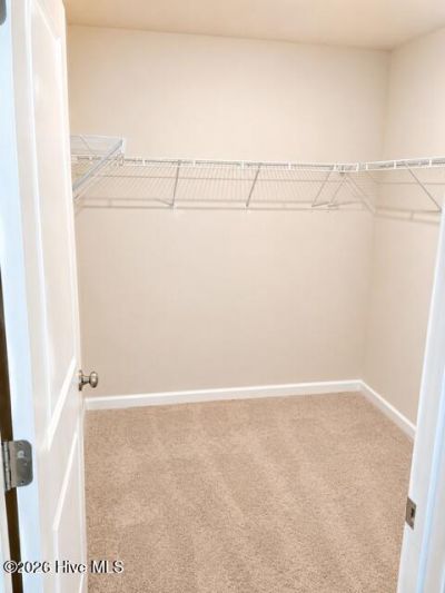 392 Aldergate Drive Photo 19