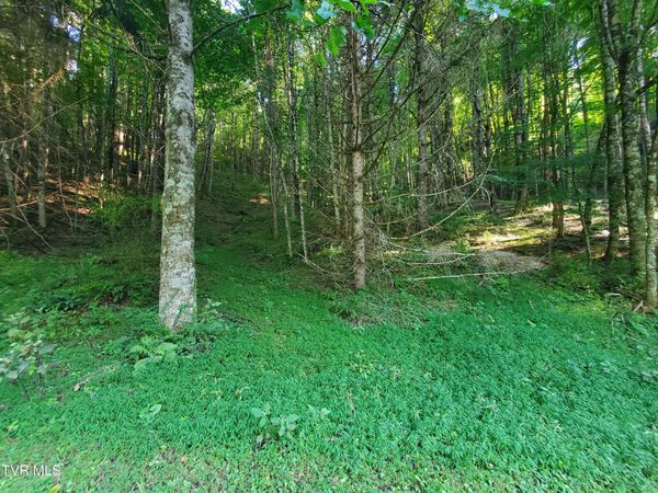 12 Laurel Highlands Road, Unit 12, Roan Mountain, TN 37687