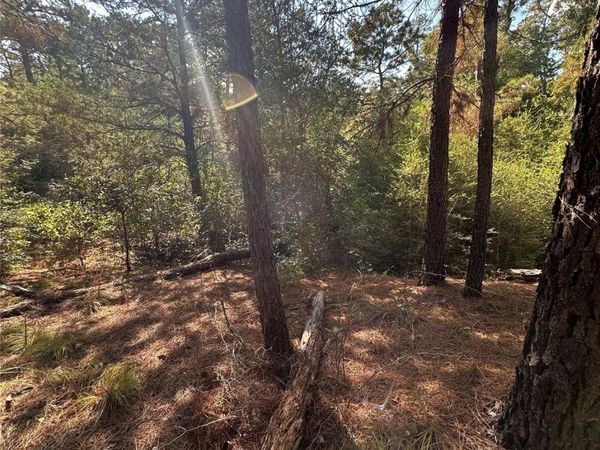 0 Pine Oak DR, Bastrop, TX 78602
