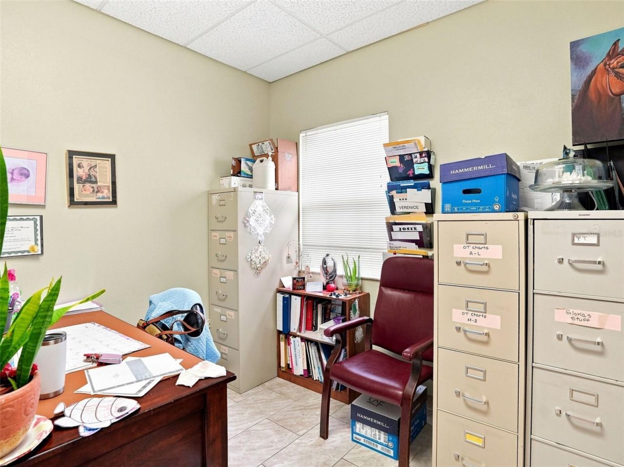 224 Mariner Boulevard , Spring Hill, FL 34609 Photo