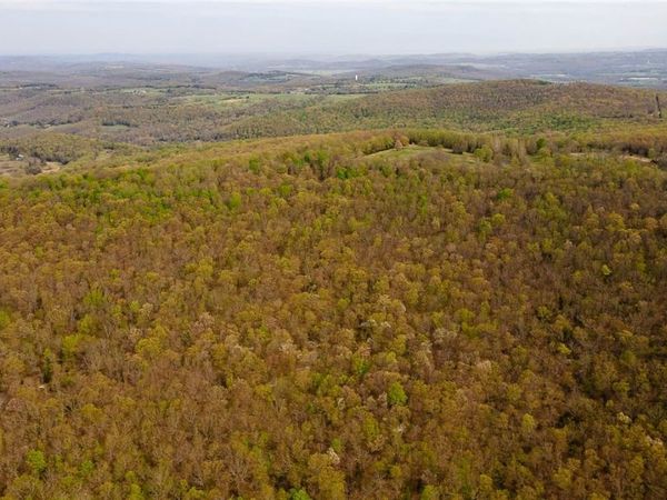 TBD Madison 6021 , Elkins, AR 72727