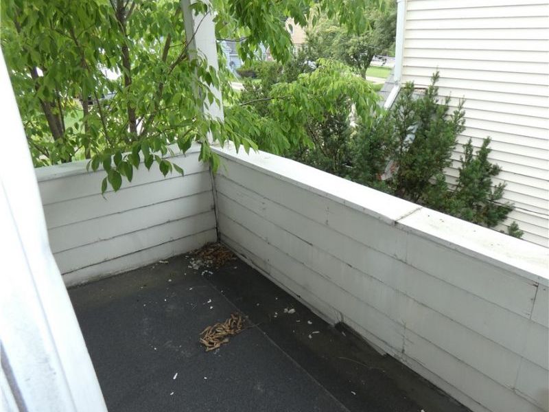 13187 Forestdale Drive, Garfield Heights, OH 44125 Photo 25