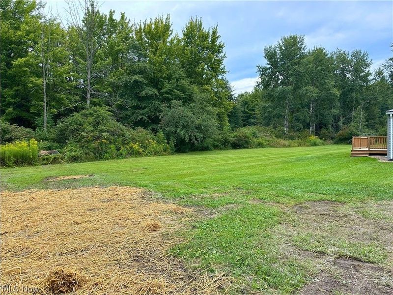 5355 Anderson Road, Pierpont, OH 44082 Photo 9