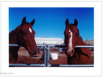 16500 Pyramid Highway, Reno, NV 89510 Photo