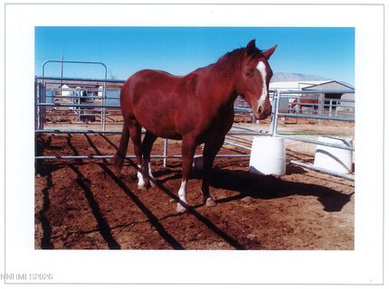 16500 Pyramid Highway, Reno, NV 89510 Photo