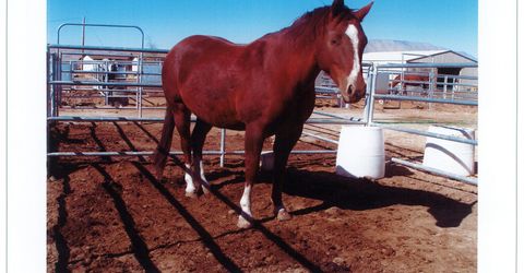 16500 Pyramid Highway, Reno, NV 89510 Photo