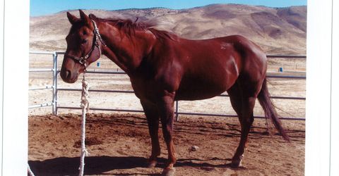 16500 Pyramid Highway, Reno, NV 89510 Photo