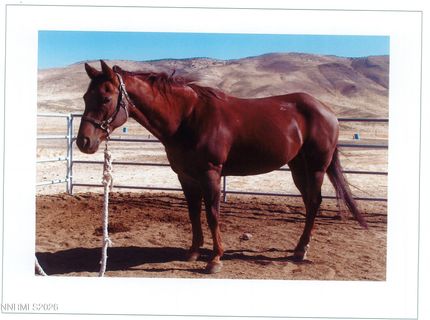16500 Pyramid Highway, Reno, NV 89510 Photo