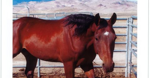16500 Pyramid Highway, Reno, NV 89510 Photo