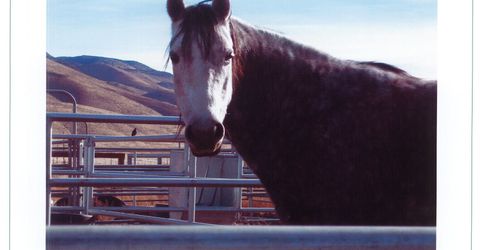 16500 Pyramid Highway, Reno, NV 89510 Photo