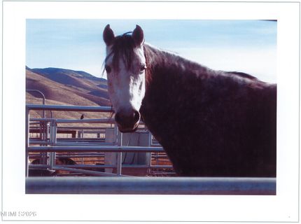 16500 Pyramid Highway, Reno, NV 89510 Photo
